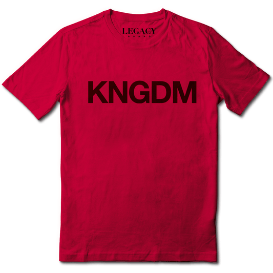 KNGDM Premium T-shirt